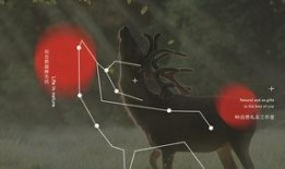 猎奇暗黑吃瓜网站,揭秘网络吃瓜界的神秘角落