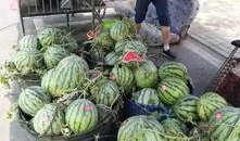 韩城近期吃瓜事件