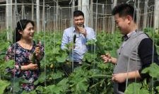 山东枣庄职中吃瓜,揭秘背后的校园生活点滴