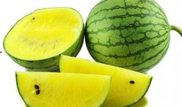 吃瓜爆料商品图片,吃瓜爆料带你领略神秘商品风采