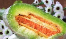 神仙瓜可以吃吗,美味与营养并存，食用指南揭秘