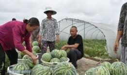 绵阳答辩吃瓜,吃瓜群众围观一幕幕精彩瞬间