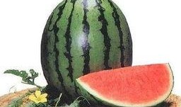 吃瓜最好的运动