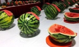 西瓜节吃瓜比赛