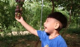 文赫吃瓜,揭秘娱乐圈幕后故事