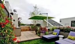 西城顶楼吃瓜,揭秘都市楼顶的神秘“吃瓜”现象