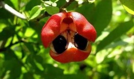 销魂吃瓜图片大全