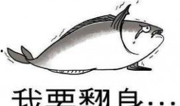 咸鱼主母爰吃瓜,揭秘网络红人的日常生活与趣味