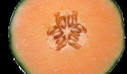 女性经期吃哈密瓜,经期女性食用哈密瓜的益处与注意事项