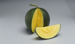 上海最近的吃瓜事件,最新吃瓜事件盘点