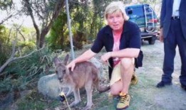 大象吃瓜现场视频,萌态百出，趣味横生