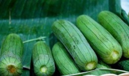 立秋常吃三瓜,养生必备——常吃三瓜，健康一整秋