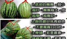 浮水瓜怎么吃,解锁夏日清新美味