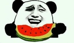 修仙吃瓜全集最新,揭秘仙界风云，笑谈人间百态