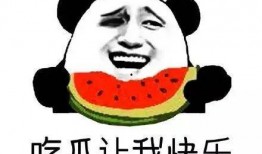 吃瓜群众在线做法,一场全民参与的娱乐盛宴