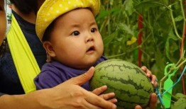 恶心吃瓜群,网络社交的另类现象解析