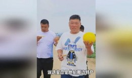 兄弟吃瓜吗,揭秘日常生活中的温馨瞬间