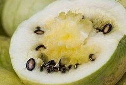 瓜萎吃皮还是吃籽,皮与籽的食用奥秘解析