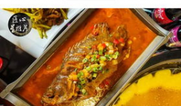 音乐餐厅吃瓜,一场味蕾与听觉的双重享受