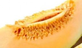 吃胃药能吃蜜瓜吗,安全食用的注意事项