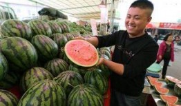 朝阳市民吃瓜,吃瓜文化背后的社会现象解析