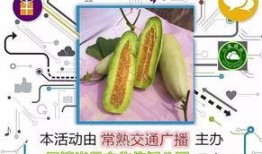 吃羊角瓜舌头麻,舌尖上的麻感之旅