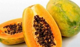 孕妇梦见吃长条瓜,长条瓜的寓意与启示