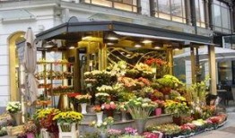 唐山花店吃瓜,吃瓜群众的温馨聚集地