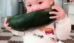 瓜哥吃瓜奇葩玩具视频,揭秘那些令人捧腹的奇葩玩具