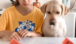 最近游戏吃瓜视频,吃瓜群众热议不断，揭秘幕后真相