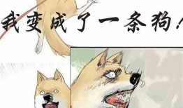 吃瓜真相小说免费阅读,免费阅读小说背后的秘密