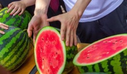 打卡点大学吃瓜,揭秘校园美食圈的秘密花园