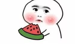 吃瓜群众在线做法,一场全民参与的娱乐盛宴