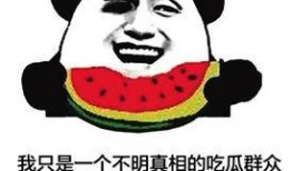 网络语言吃瓜新词,揭秘网络时代的趣味观察