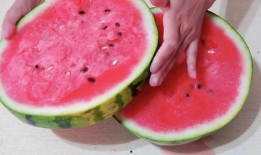 怎么切瓜方便吃,揭秘切瓜的便捷技巧