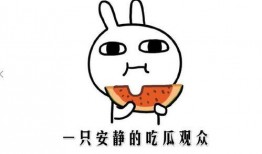 吃瓜的意思就是,网络时代的围观文化现象