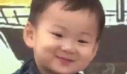 吃瓜事件大连,揭秘背后真相与网络舆论风暴