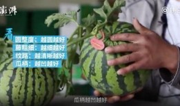 硬核吃瓜是什么,网络热词背后的文化现象与社交趋势