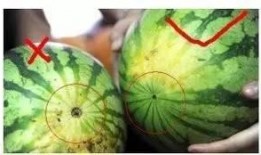 夜儿吃瓜,揭秘娱乐圈的幕后故事