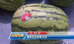 相声吃瓜学法是什么