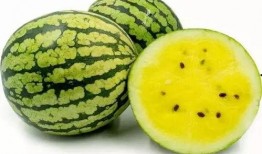 吃莱芜的瓜,探寻乡村田园风情