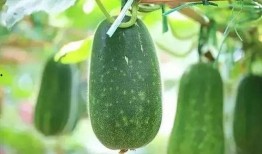 最近最新吃瓜,揭秘明星幕后真相