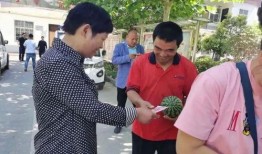 高敏吃瓜群众,揭秘高敏吃瓜群众的独特视角与深度解读