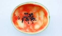 吃瓜大勺子图片搞笑,一场欢乐的视觉盛宴