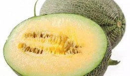 吃瓜的瓜是啥,探寻网络流行语的起源与内涵