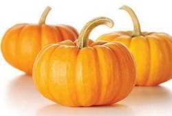 宝宝吃的瓜金瓜