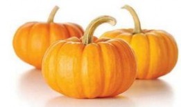 宝宝吃的瓜金瓜