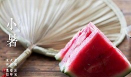 小暑吃瓜图片,瓜果飘香，尽享清凉时光