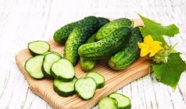 吃瓜群众吃植物,揭秘植物如何“吃”与“被吃”