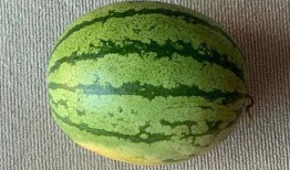 全亚洲都在吃瓜,瓜香四溢，揭秘全球“吃瓜”文化盛况